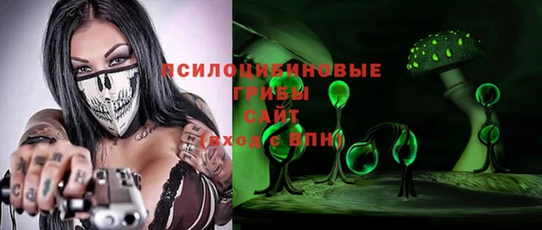 бошки Аркадак