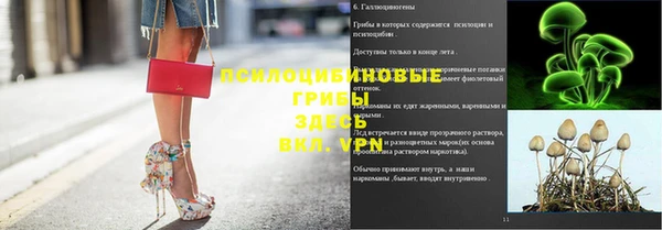 мескалин Няндома