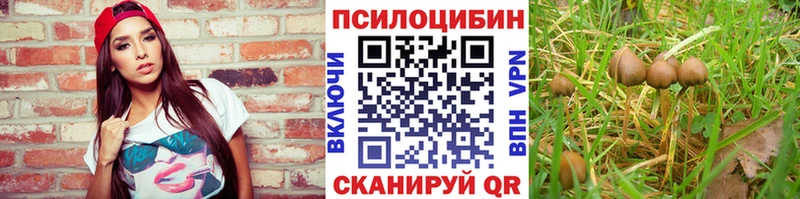 ОМГ ОМГ зеркало  Сковородино  Псилоцибиновые грибы мицелий  дарк нет какой сайт  даркнет сайт 