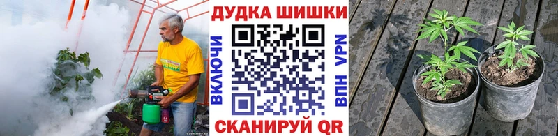 Канабис конопля  наркотики  Сковородино 